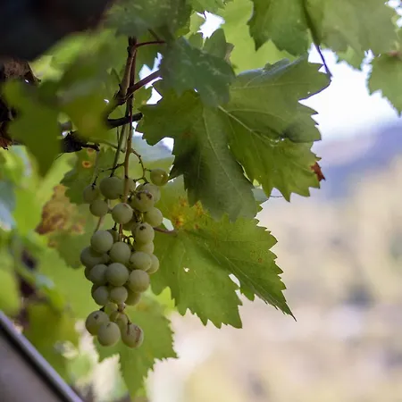 Διαμέρισμα Apartment's Theodoros 2