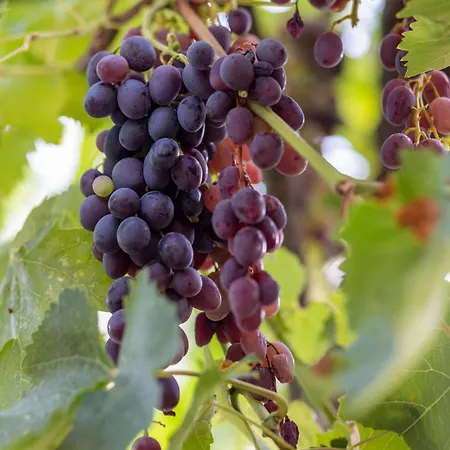 Apartment's Theodoros 2 Διαμέρισμα