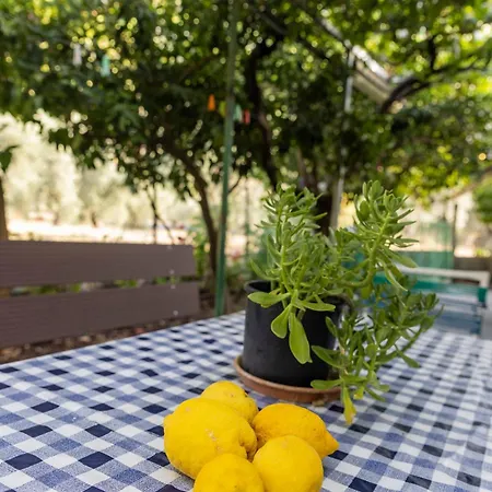 Apartment's Theodoros 2 *