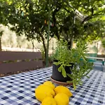 Apartment's Theodoros *